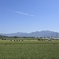 田舎の風景