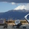 香貫山3