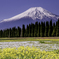 250427_富士山4