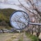 ミラーの景色
