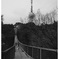 frequency 2960