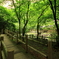 橋