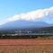 富士と蓮華と新幹線Ⅱ