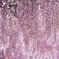 DSCF0209