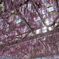 DSCF0223