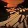 浜野浦棚田