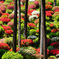 七国山薬王寺