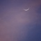 夕空に浮かぶ