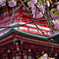 倶利伽羅不動寺八重桜