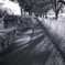Light and shadow-902