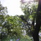 PICT0110