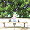 PICT0112