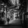 影と鱗のアーケード
