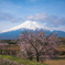 富士山を背景に