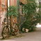 自転車１台