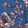 栗山公園_桜20250430