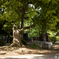 上野公園にて（MMFC0484C1）