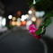 DSC01624