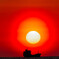 夕陽