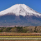 Mt.Fuji 山中湖 花の都公園 2025年4月30日_MAVIC3_0040