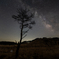 ひとりぼっちの星空