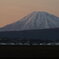 春曙の蝦夷富士