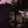 散る