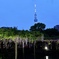 濡れ場のヒロインが藤の花なら、お相手は背の高いダンディなあのお方