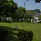 初夏の公園