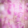 flower shower