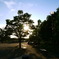 Sagamihara Park