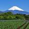 富士山　5月3日　1