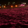 night carpet