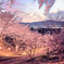 福島県伊達市紅谷峠の桜