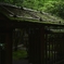 2025.5_紙垂のある茶室