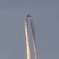 早朝の飛行機雲 (2) 250505-588