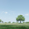 Greenery Day