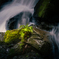 motion and stillness