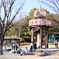 休日の公園