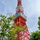 東京タワーを散歩