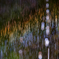 虹色の雨