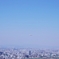 飛行機
