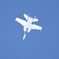 岩国航空基地フレンドシップデー2025⑪