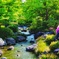 公園のせせらぎ