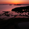 夕暮れの棚田