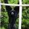 千葉市動物公園にて