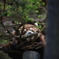 千葉市動物公園にて