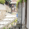 猫の住む路地