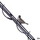 野鳥撮影#1