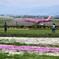 松本空港　到着1番機